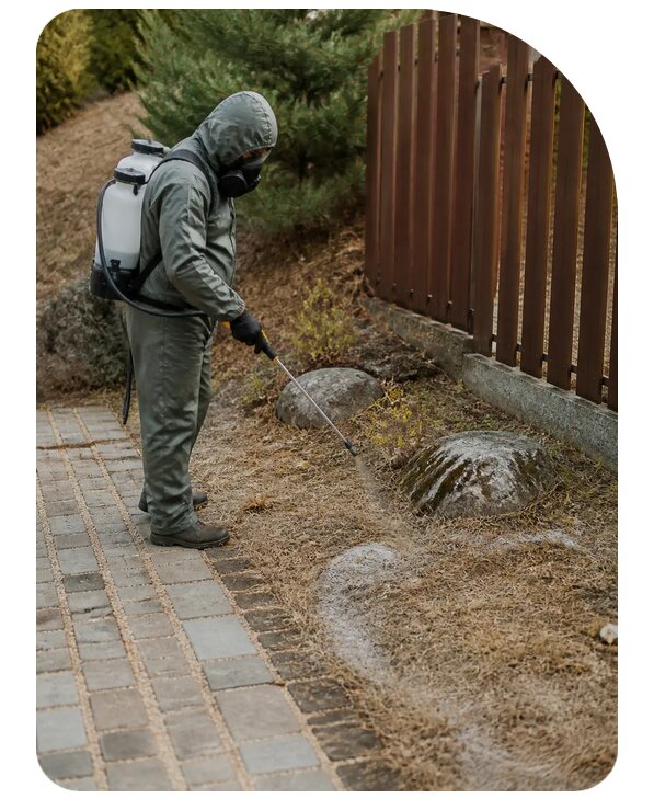 Обработка участка от змей в Лыткарине по цене от 5122 р. | Сенат-Лтк